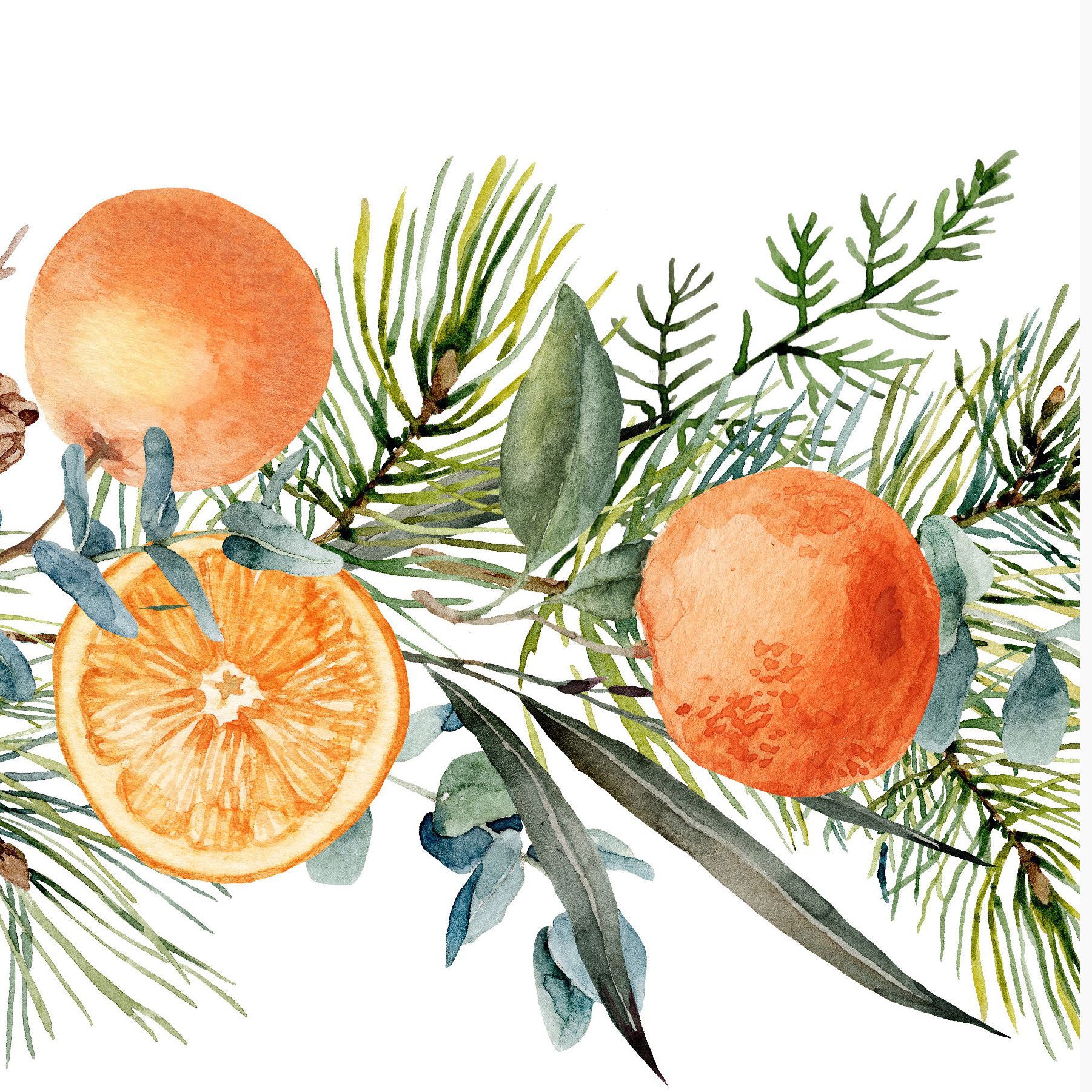 holiday boughs watercolour sketch- start the season by crossing some names off you list with the orange rooms' holiday gift guide