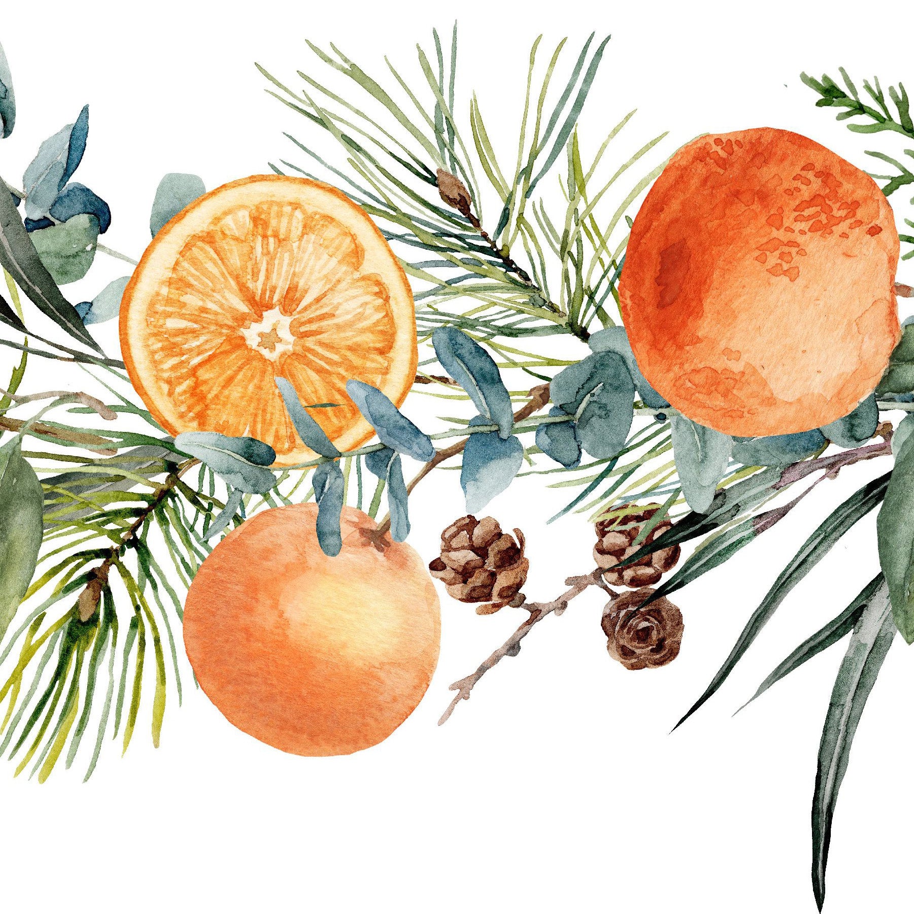 Holiday boughts with oranges, pine cones and evergreens-shop for Puffin Gear hats and blankets at The Orange Room