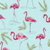 Flamingo / 6month (18