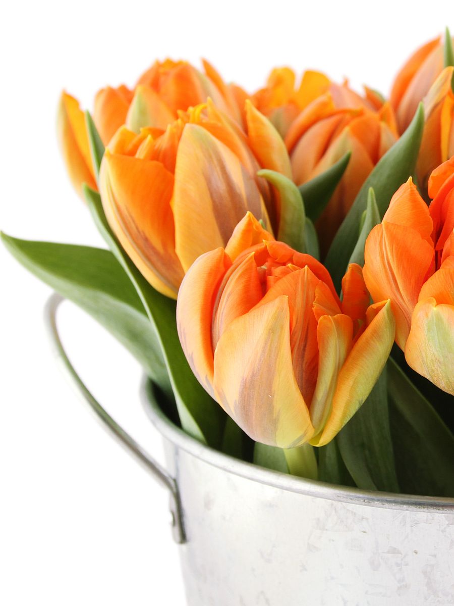 Mother's Day Gifts She'll Love, Made in Canada by Puffin Gear, Hats for Gardening, Patio Dining or Reading a book in your favourite chair.